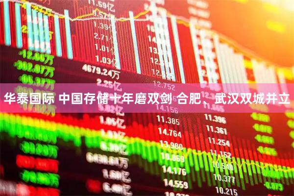 华泰国际 中国存储十年磨双剑 合肥、武汉双城并立